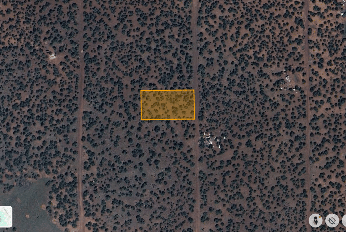 1.15 Acres of Land, Power, Trees and Views! Show Low Pines Subdivision