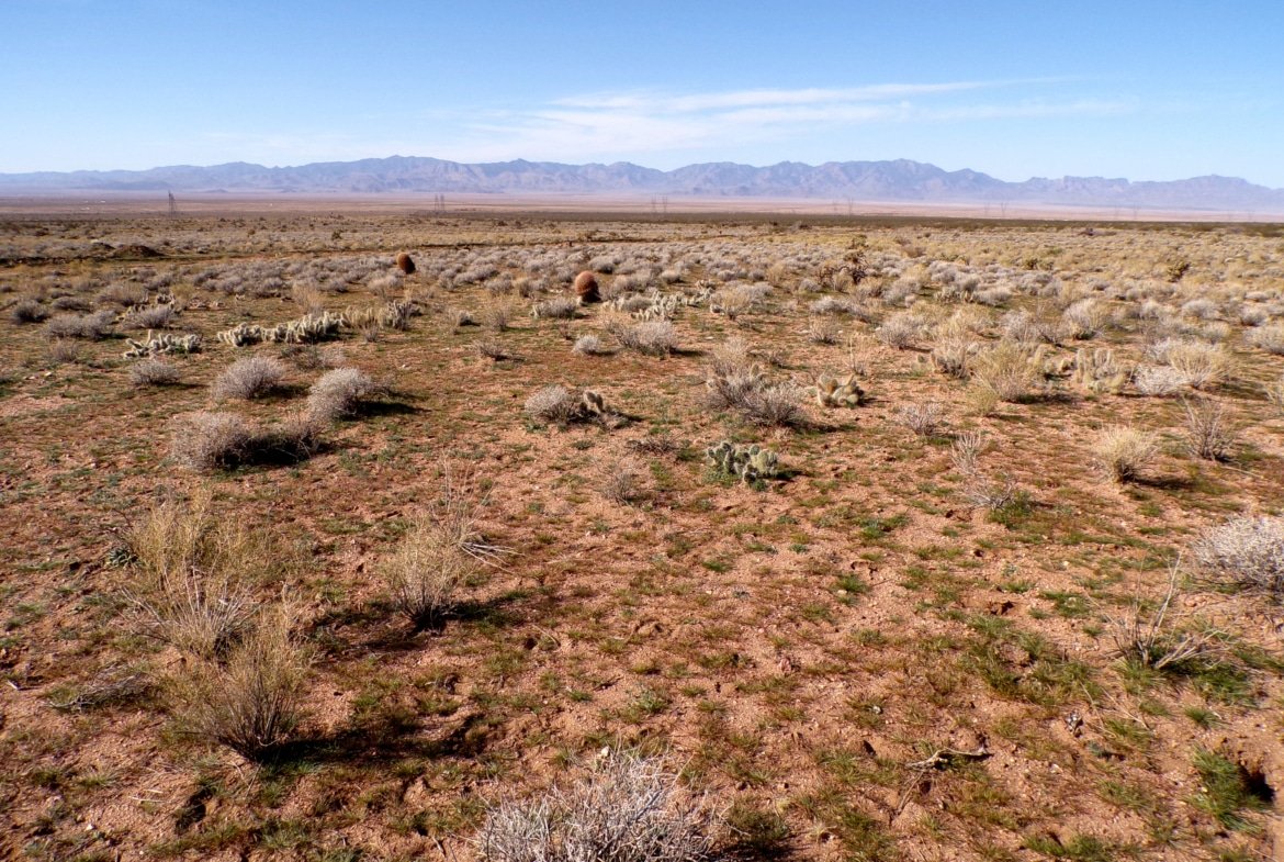 1.25 Acres in Dolan Springs / Kingman, AZ – Low-Cost Land Investment