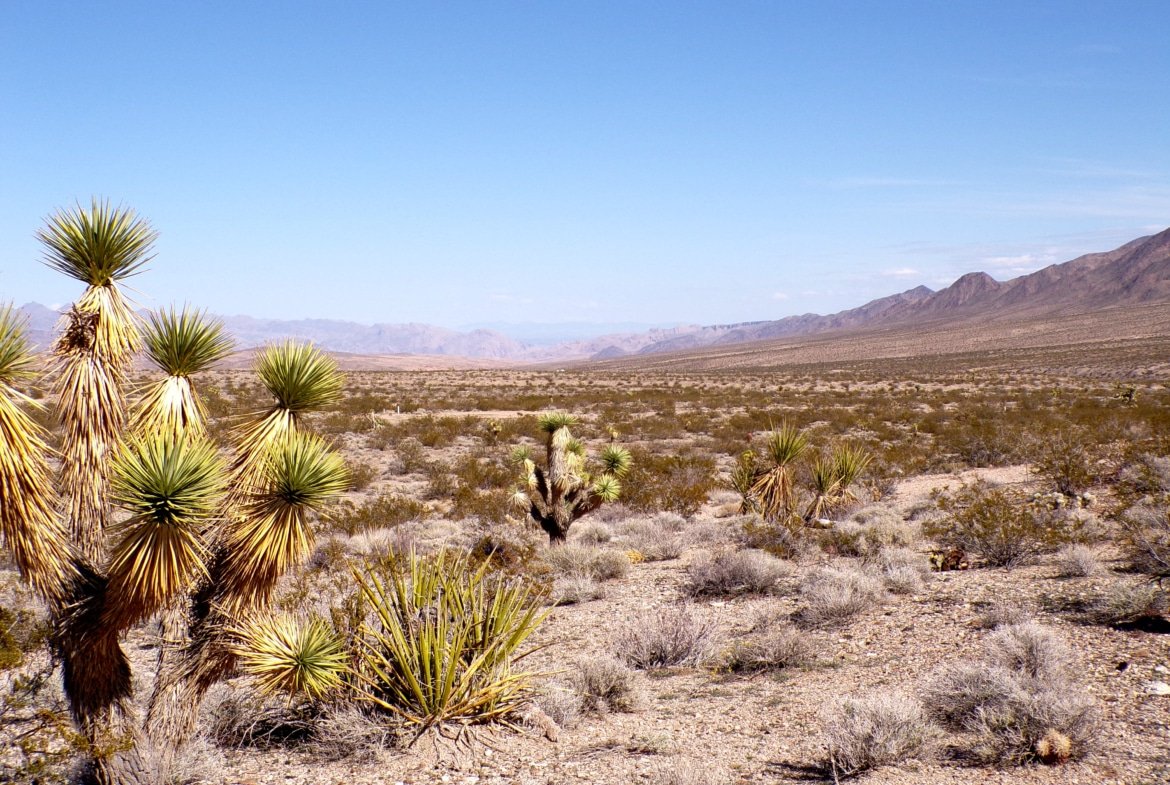 1.26 Acres Near Dolan Springs, Arizona – Your $100/Month Desert Getaway
