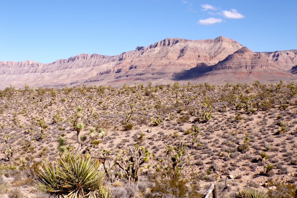 1.25 acre desert land for sale in Meadview, Arizona - photo 1