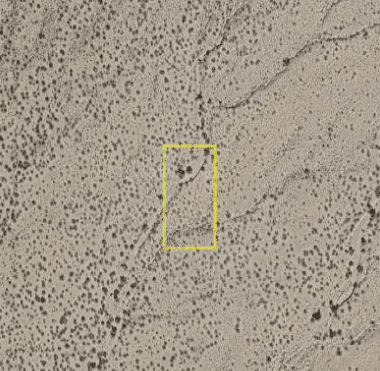 1.25 Acres in Dolan Springs / Kingman, AZ – Low-Cost Land Investment