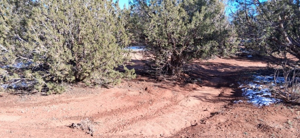 Flat terrain lot with power and trees in Navajo County, Arizona - photo 2