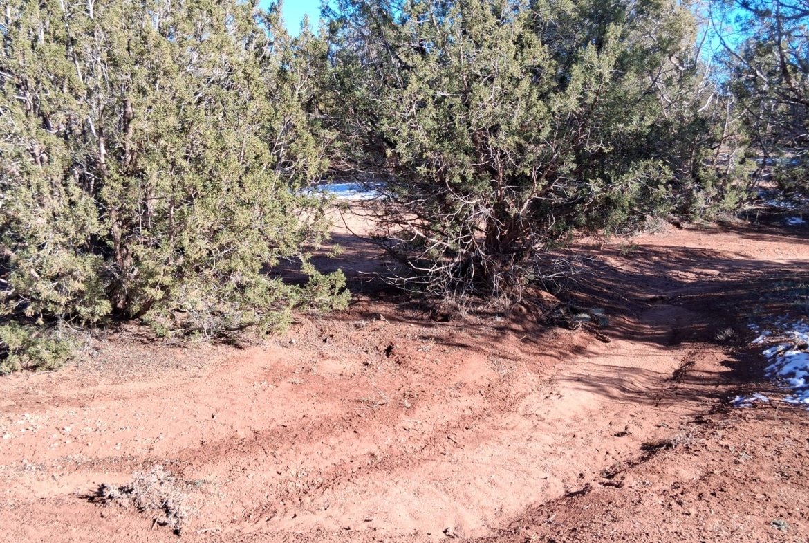 1.12 Acre Land, w/Power and Trees! Snowflake, AZ
