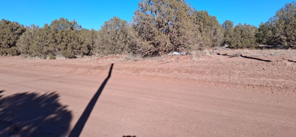 Navajo County land listing with trees and flat terrain - photo 10