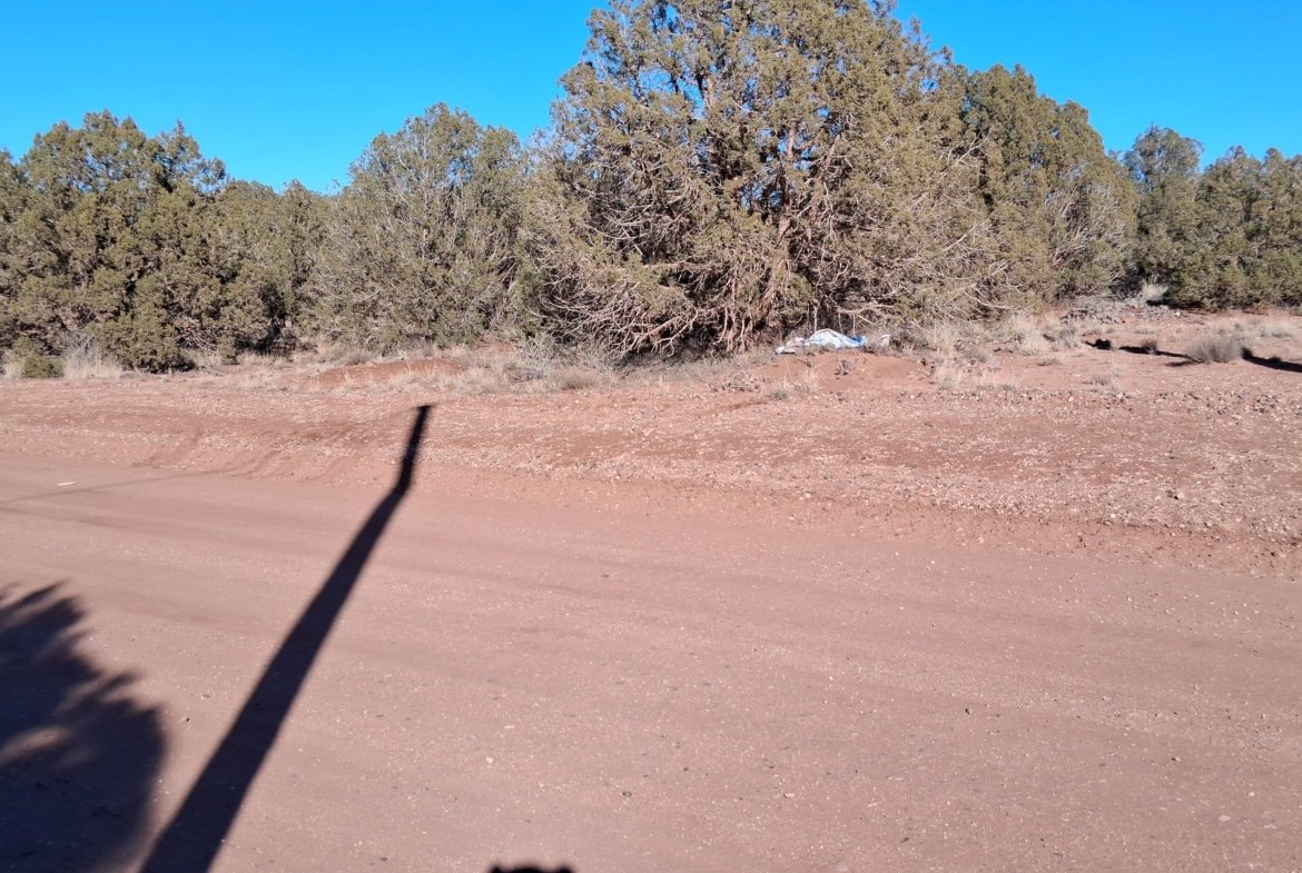 1.12 Acre Land, w/Power and Trees! Snowflake, AZ