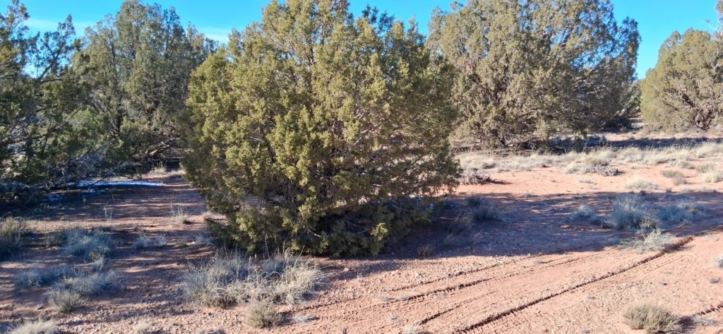 1.12 acre Snowflake, AZ property listing overview - photo 3