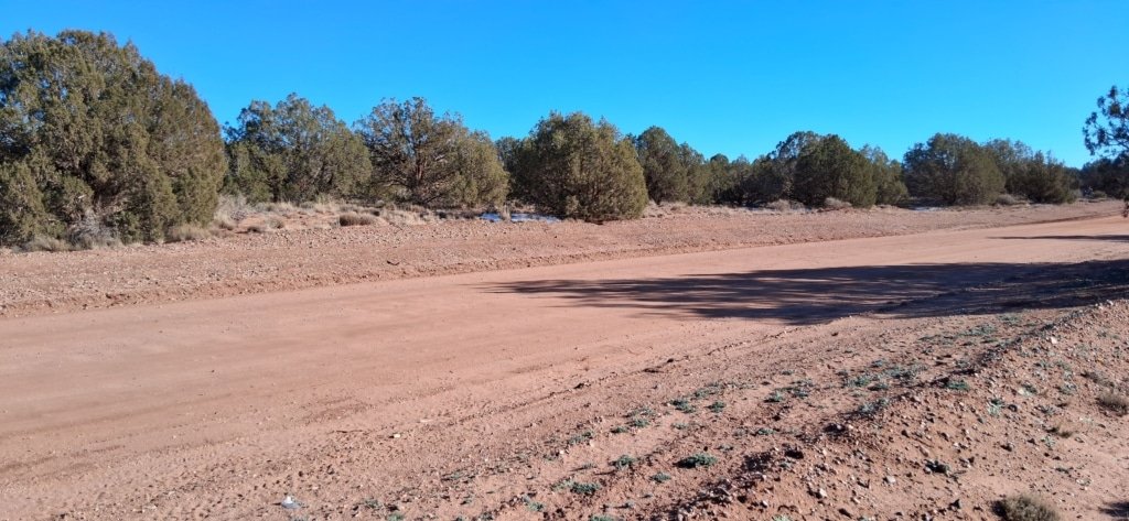Mountain view land with power available in Snowflake, Arizona - photo 8