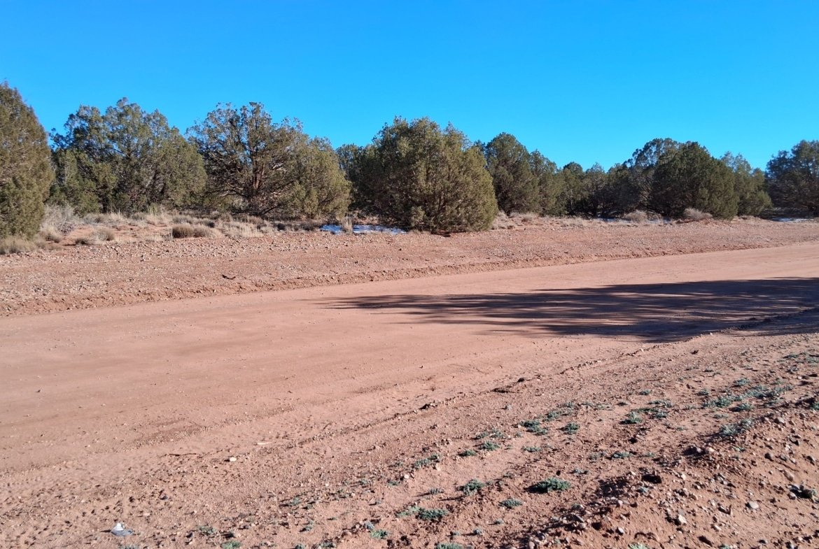 1.12 Acre Land, w/Power and Trees! Snowflake, AZ