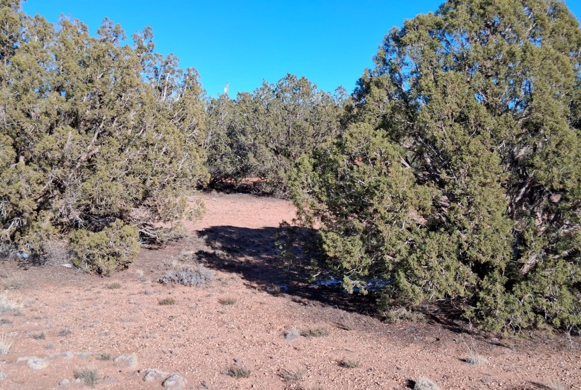 1.12 Acre Land, w/Power and Trees! Snowflake, AZ