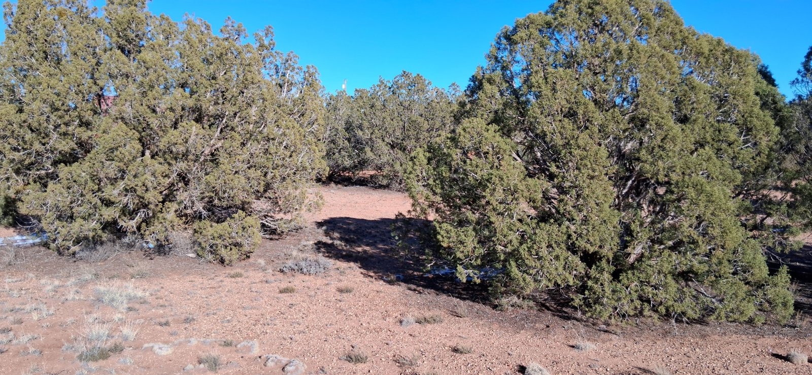 403-05-165 SW corner facing NE Corner