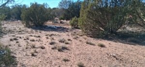 Buildable Arizona land with power and mountain views - photo 12