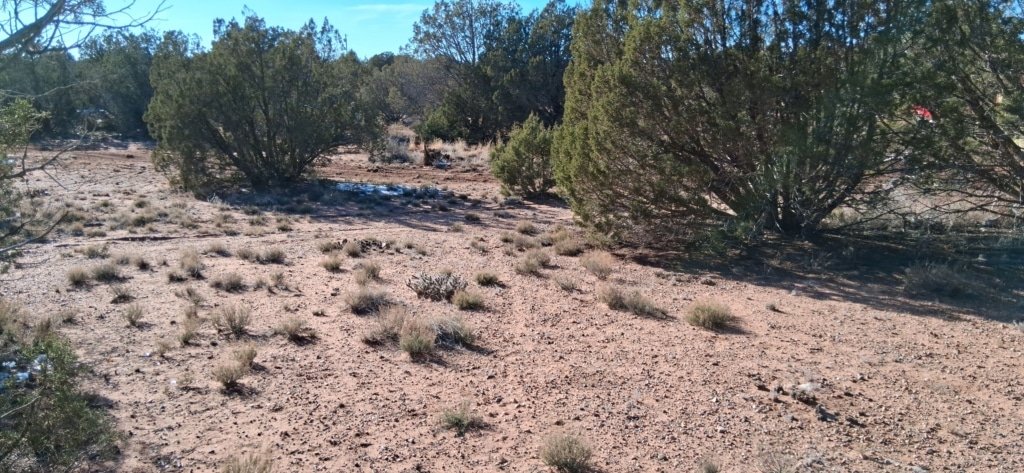 Buildable 1.12 acre lot near Snowflake with RV access - photo 9