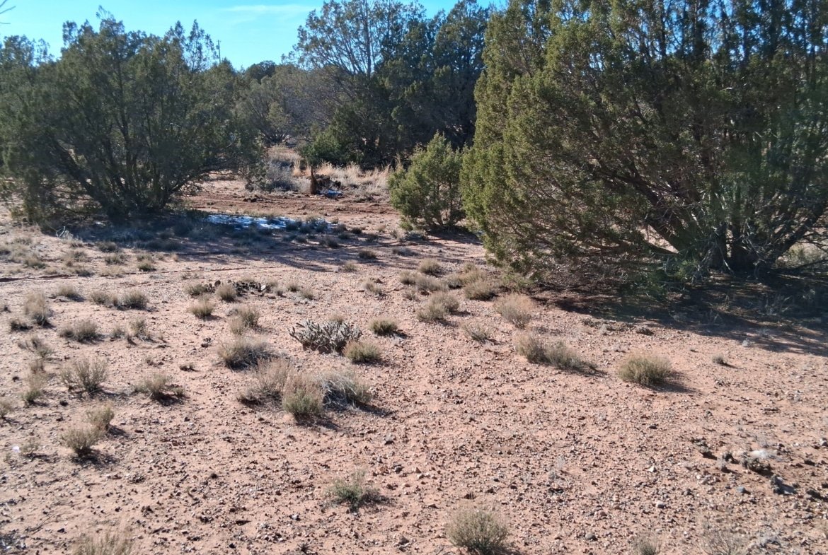 1.12 Acre Land, w/Power and Trees! Snowflake, AZ