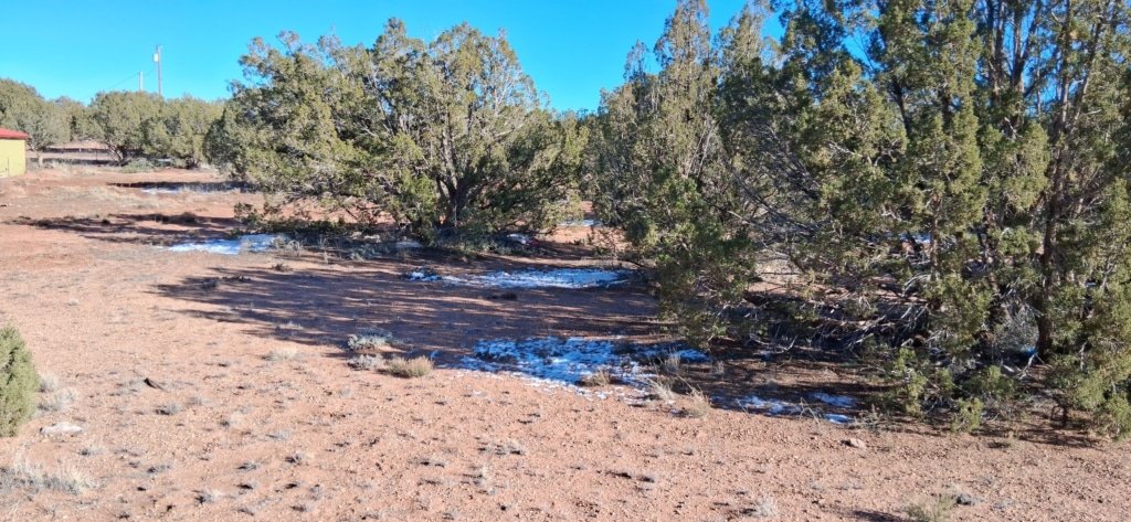 1.12 acre flat lot for sale in Snowflake, Navajo County - photo 13