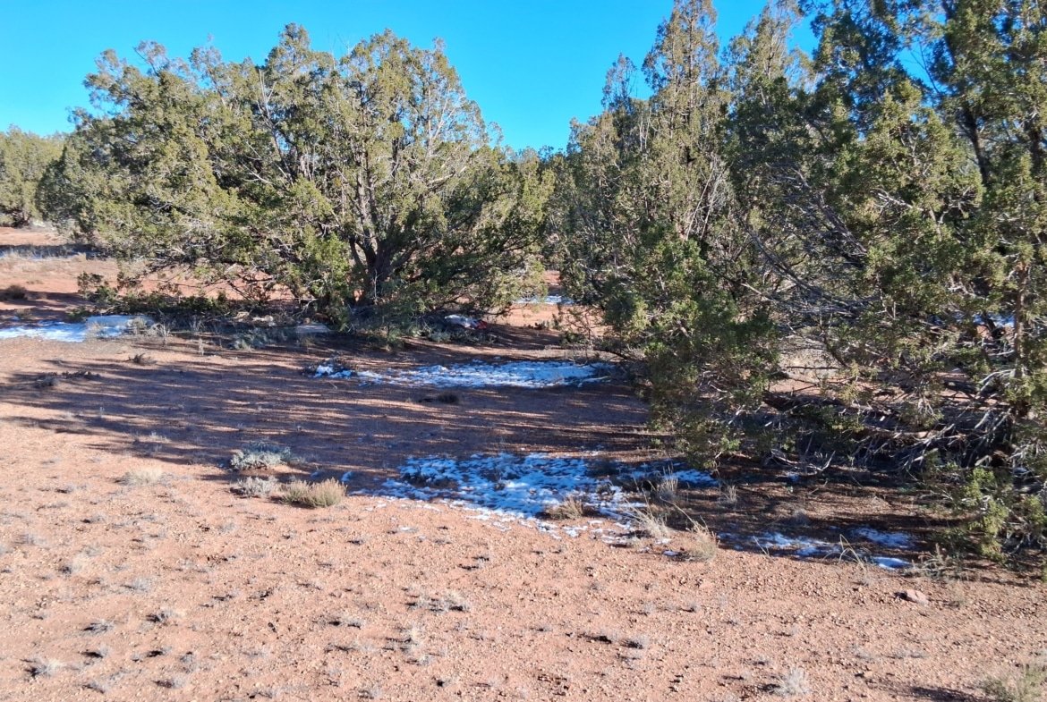 1.12 Acre Land, w/Power and Trees! Snowflake, AZ