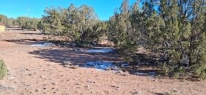 1.12 acre flat lot for sale in Snowflake, Navajo County - photo 13
