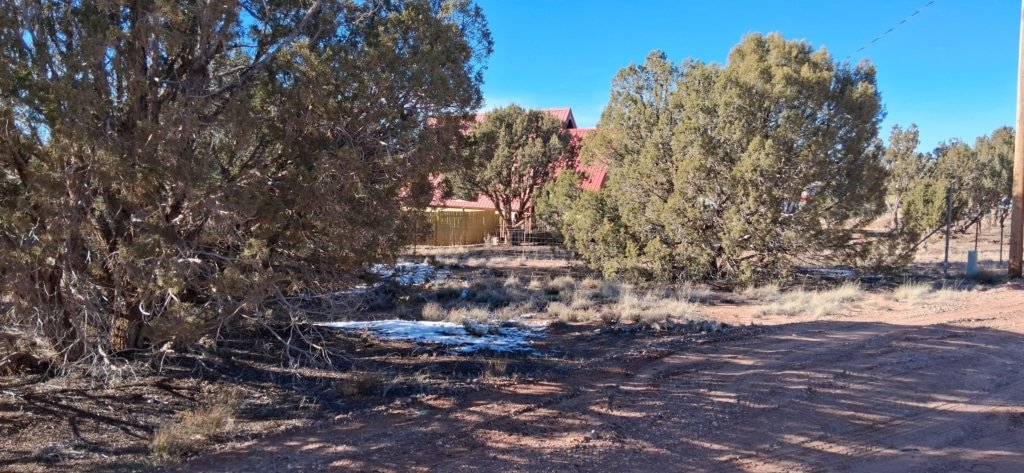 Buildable land with mountain views near Snowflake, Arizona - photo 4