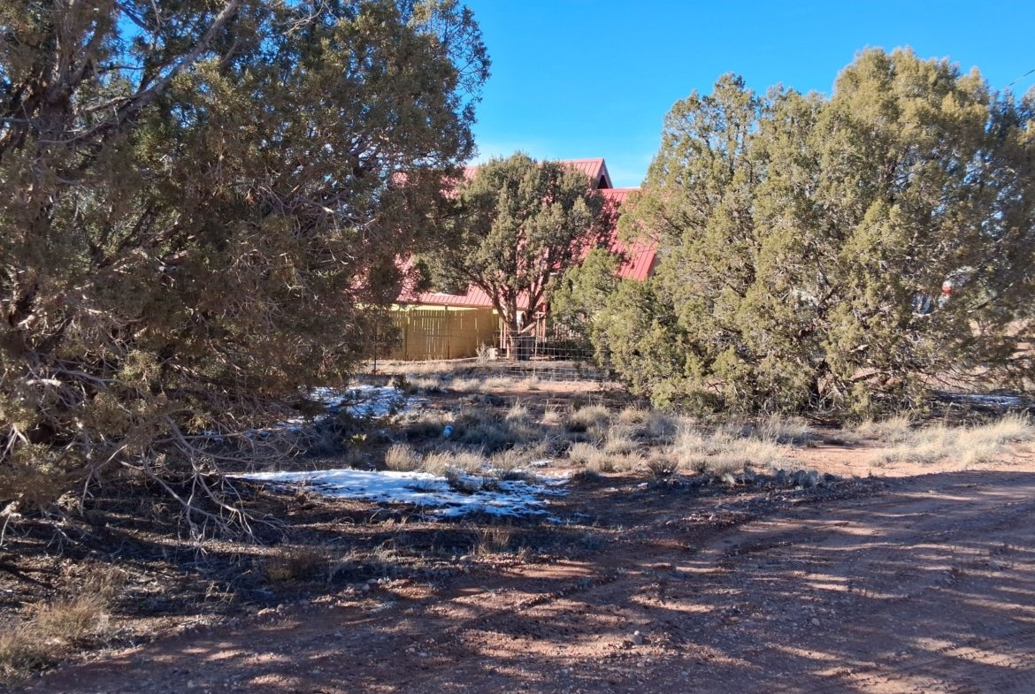 1.12 Acre Land, w/Power and Trees! Snowflake, AZ