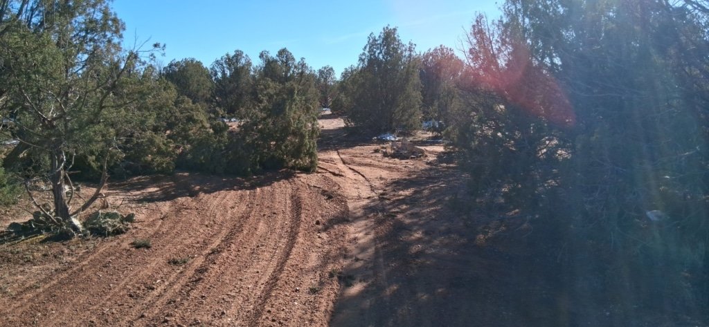 Snowflake Arizona land for sale with utilities and trees - photo 6
