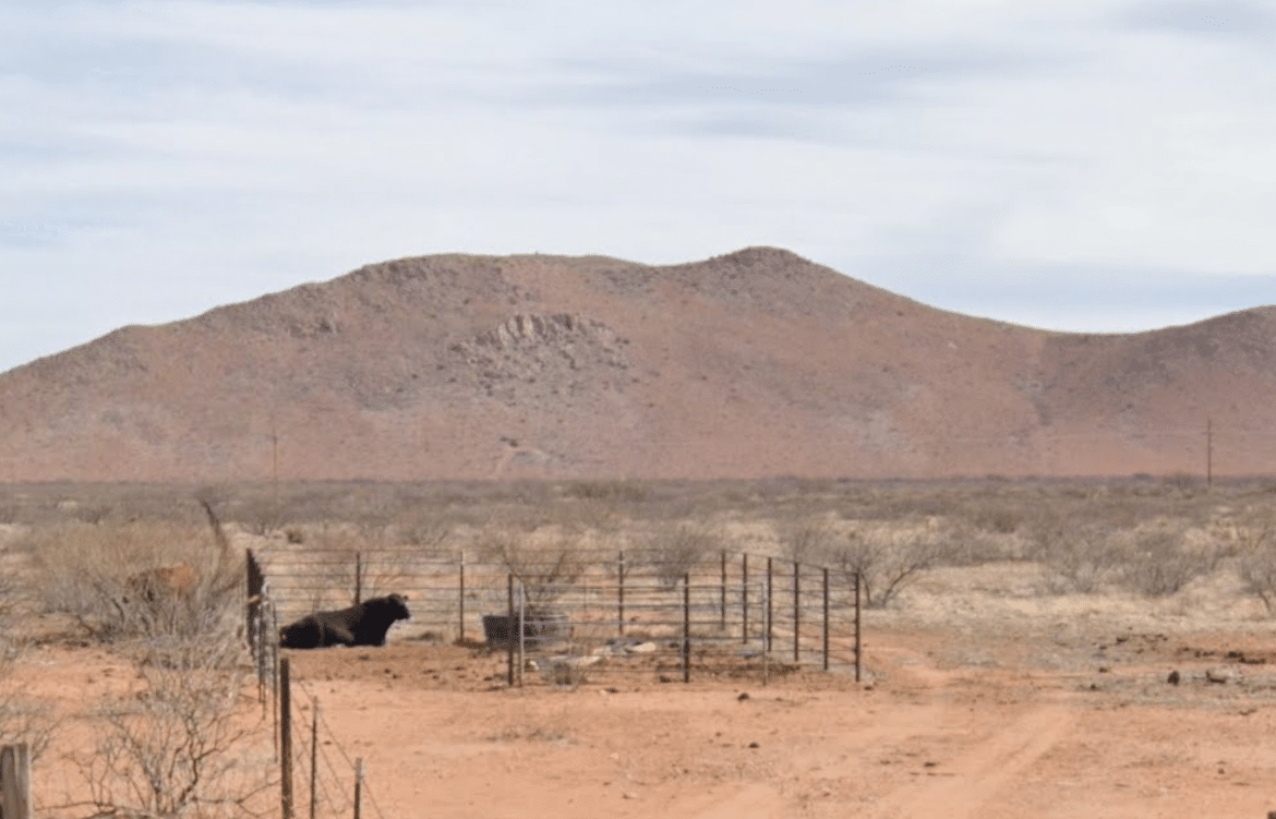 Build Your Arizona Dream Near Hwy 191 – 0.84 Acres with Easy Financing!