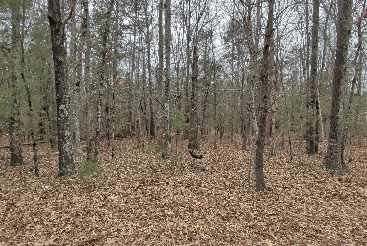 Land for Sale: 2-8 Acre Buildable Lot in Gray Court, South Carolina. Mobile homes ok. No HOA