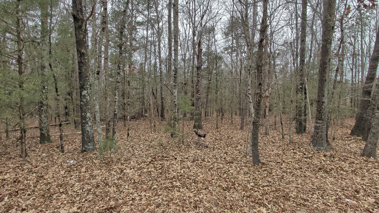 Yes.PXL_20260117_171915209