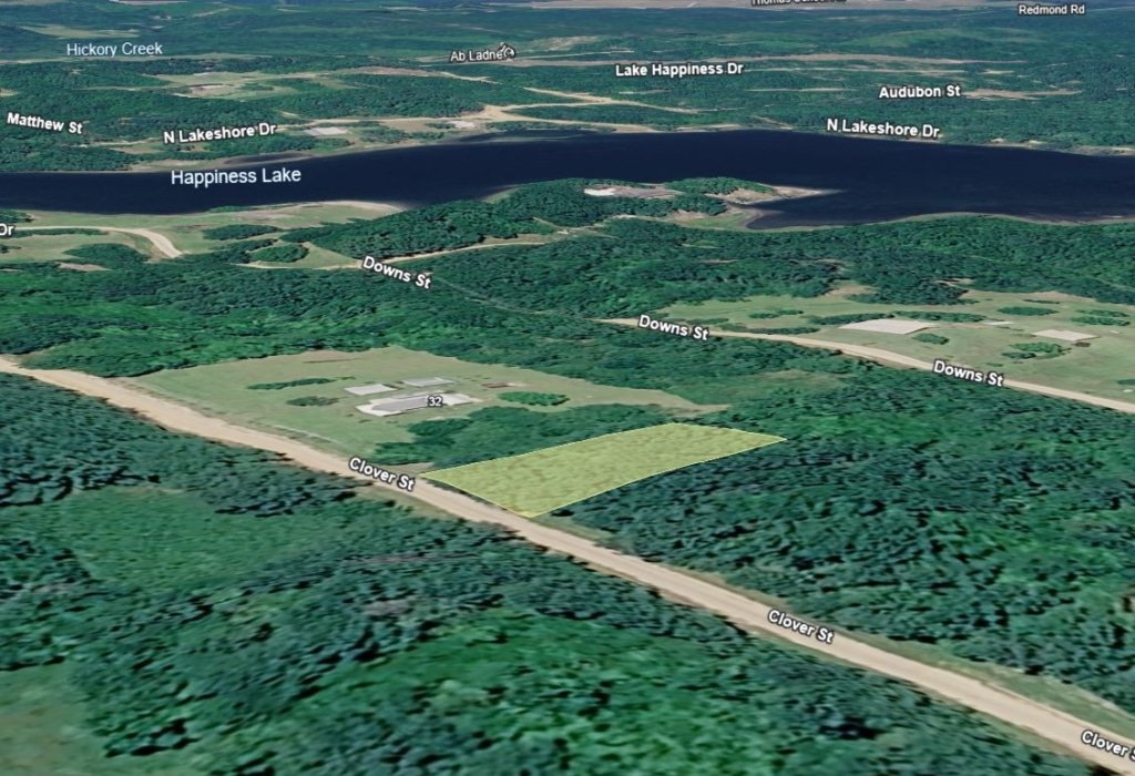 Pearl River County, Mississippi buildable lot listing near Lumberton