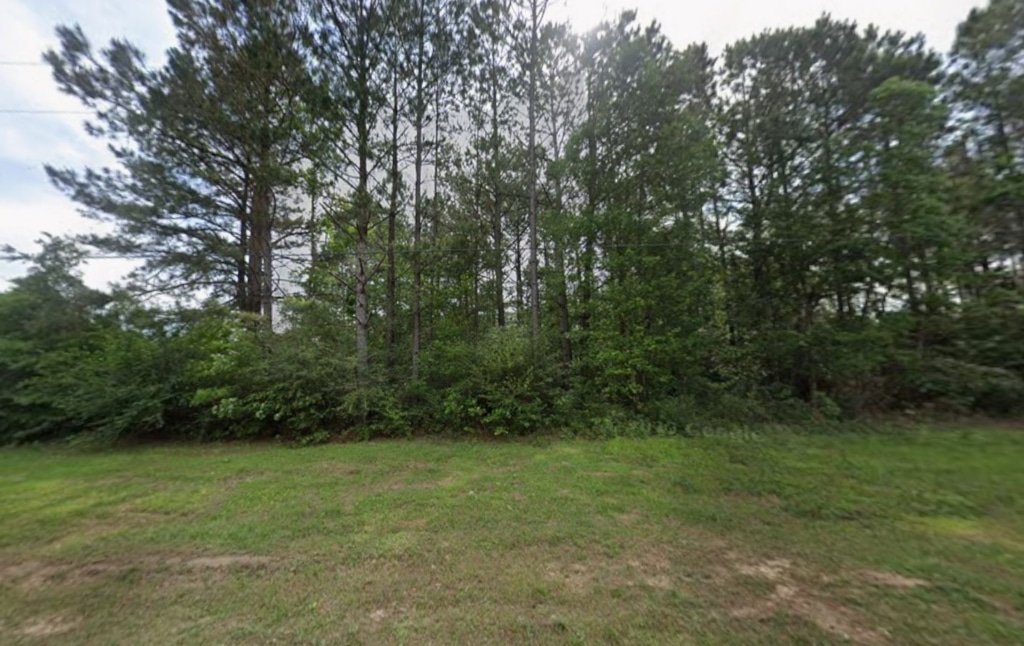 0.26-acre buildable lot near Happiness Lake, Pearl River County, Mississippi
