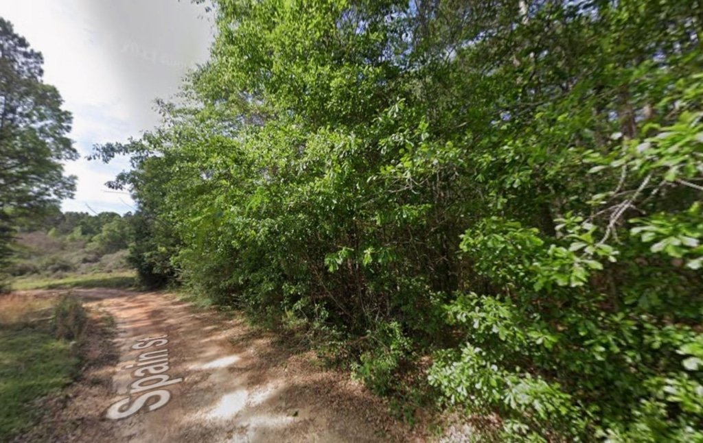 Owner-financed wooded lot, 0.28 acre, Pearl River County Mississippi - photo 3