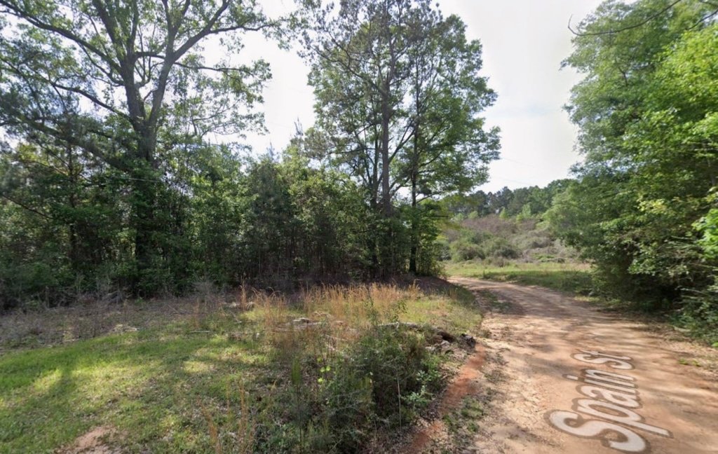 0.28 acre recreational land near lake, Spain St, Pearl River County MS