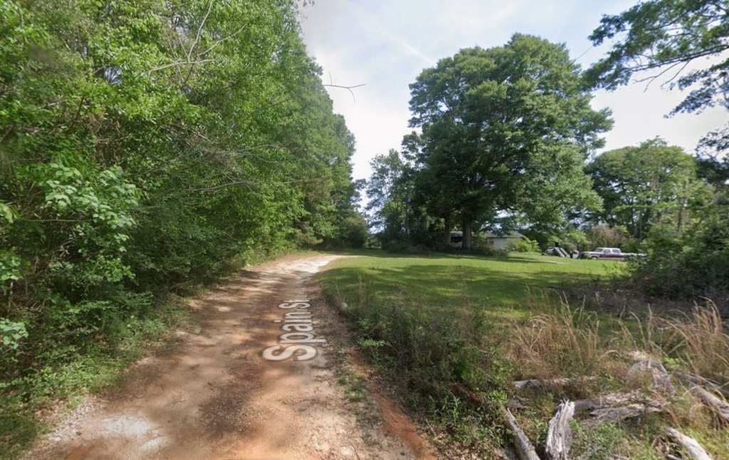 Wooded property listing 0.28 acres Pearl River County Mississippi near water