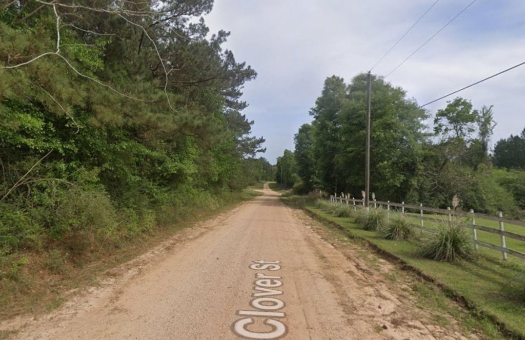 Owner-financed land lot in Pearl River County near Lumberton, Mississippi