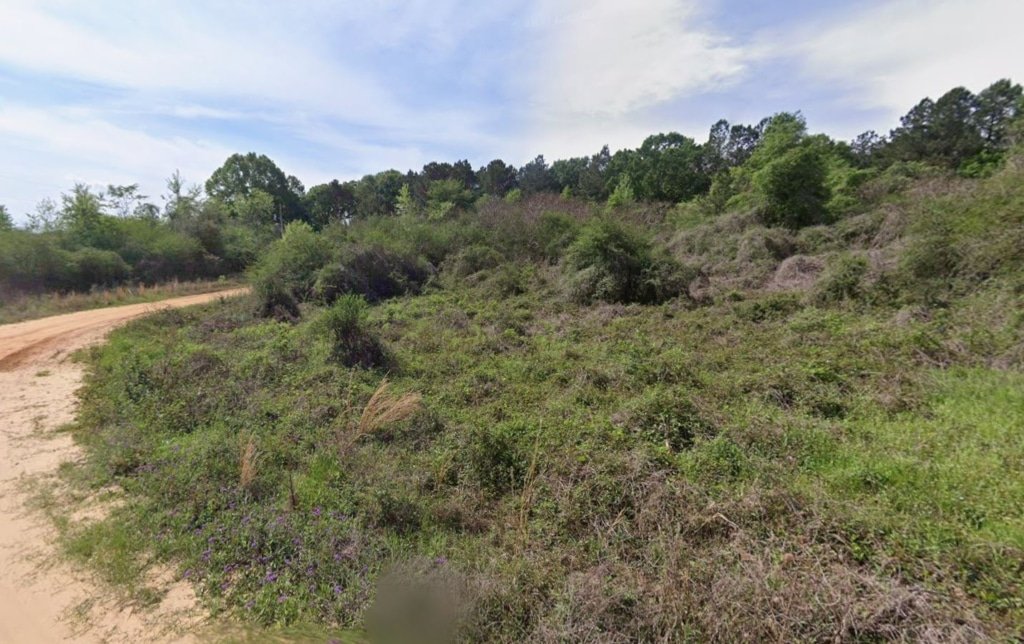 Owner-financed land 0.28 acre wooded lot near lake Mississippi photo 6