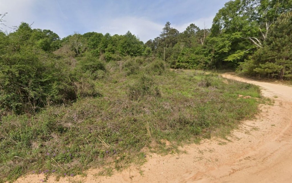 Pearl River County Mississippi land listing 0.28 acres Spain St vicinity