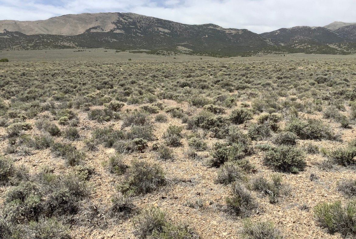 🔥 $129/mo Cheap Off-Grid Land | 1.91 Acres | Elko County NV