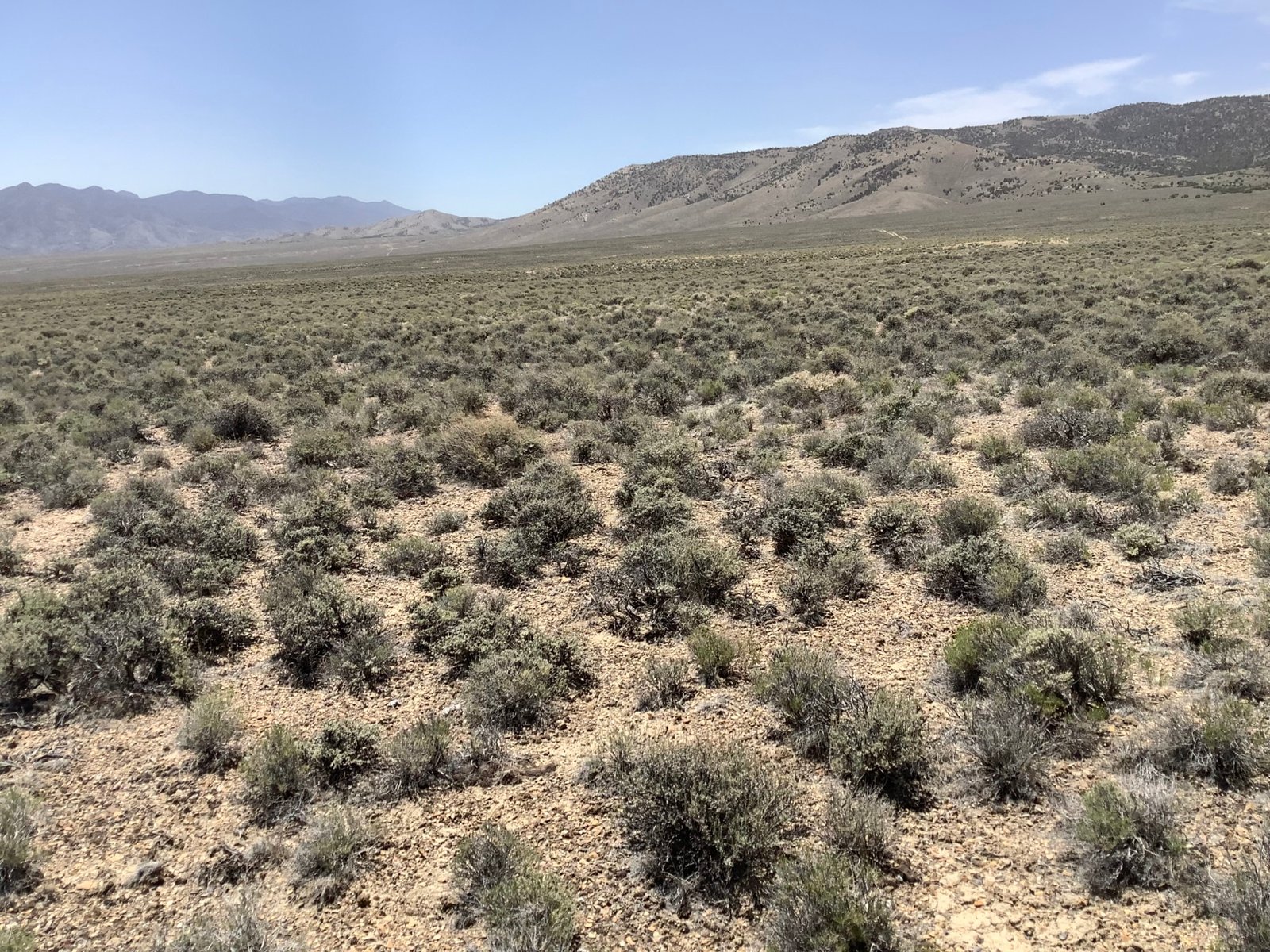 Photo_5_NV_Elko_011-008-017_DEODORA ST_ASPEN DR_1.91 Acres_04.08.2022