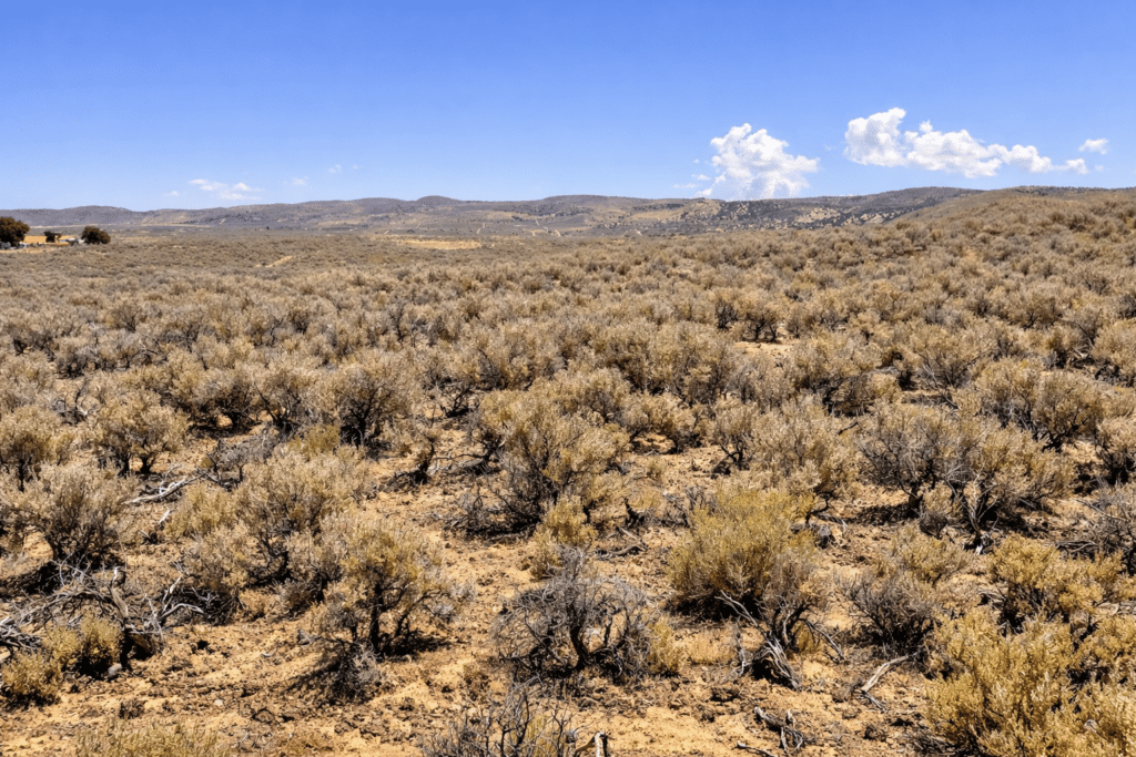 1.03 acre buildable land for sale in Elko County, Nevada - photo 1