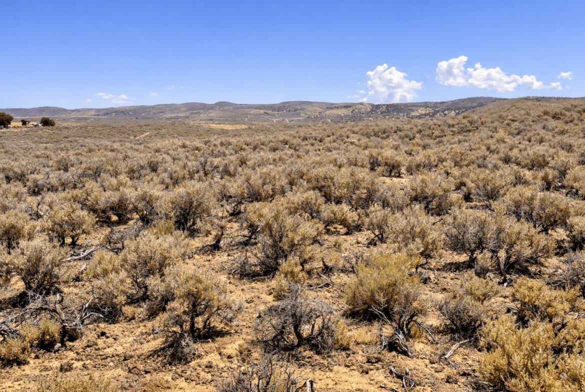 🔥 $119/mo Cheap Off-Road Land | 1.03 Acres | Elko County NV