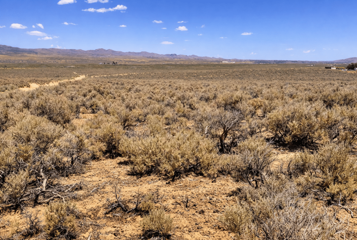 🔥 $119/mo Cheap Off-Road Land | 1.03 Acres | Elko County NV