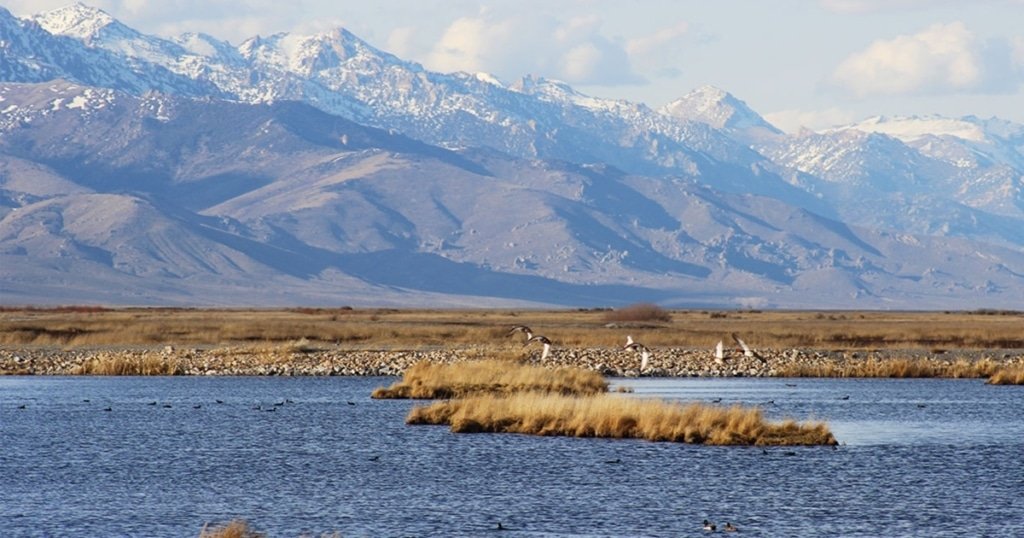 1+ acre build-ready lot near Elko, Nevada with road frontage - photo 9