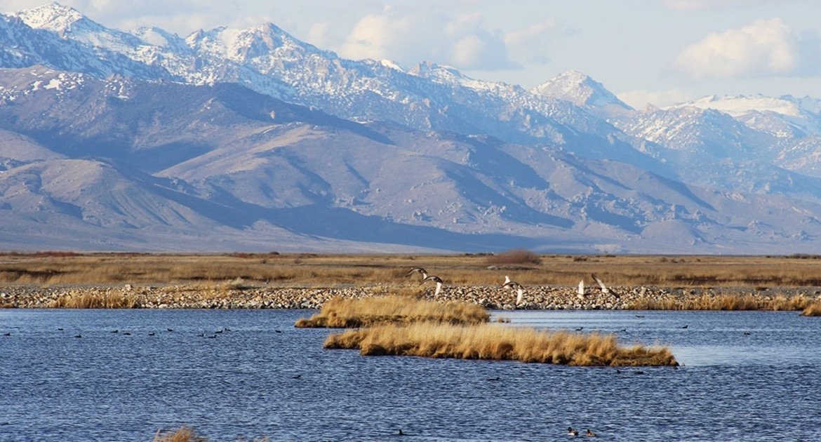 🔥 $119/mo Cheap Off-Road Land | 1.03 Acres | Elko County NV
