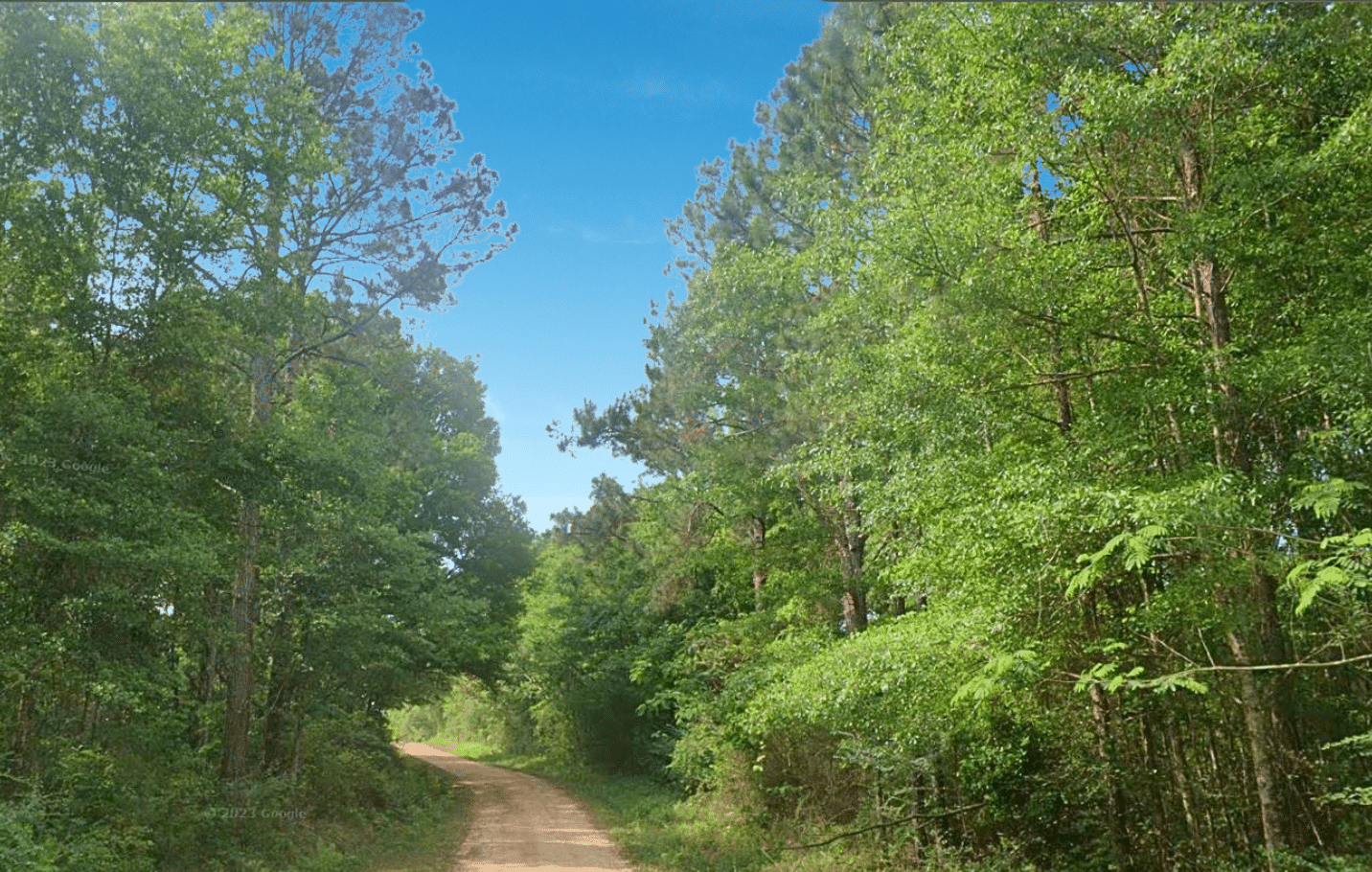 Untitled design (11)