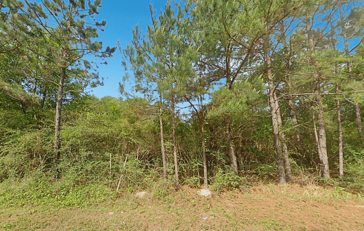 Untitled design (17)