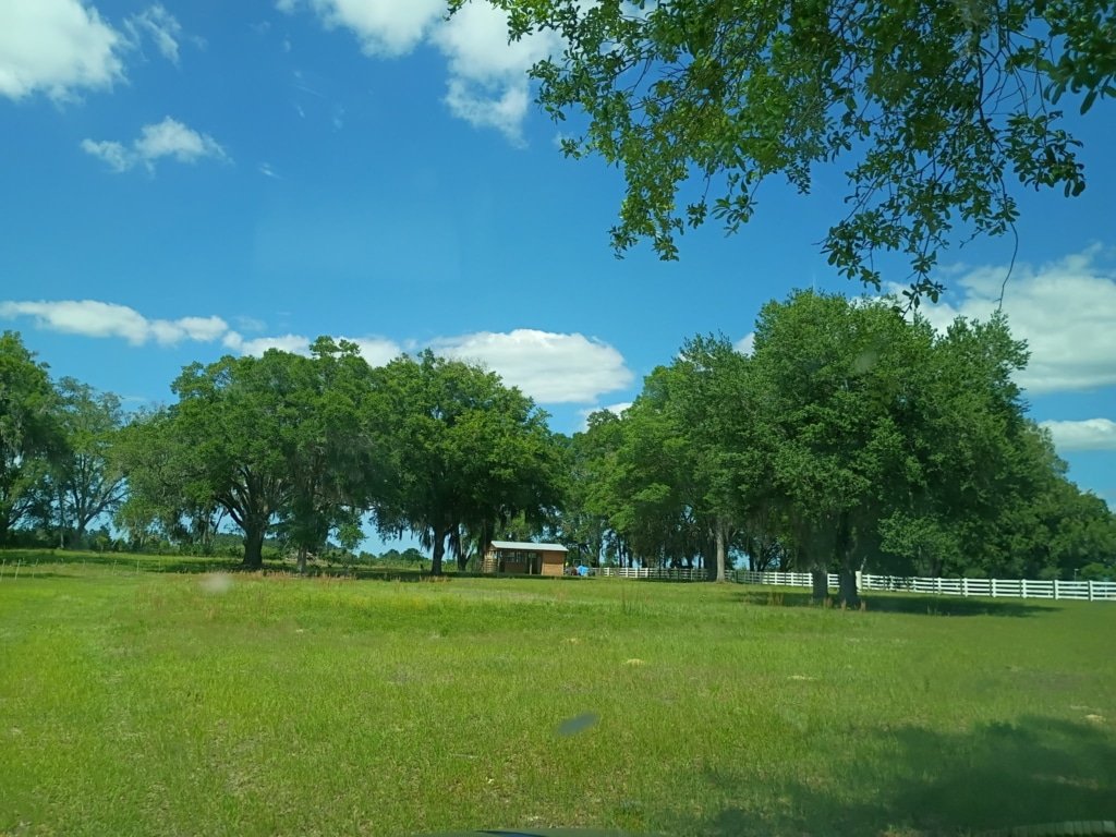 Buildable equestrian acreage in Morriston, Florida - $229,000 - photo 2