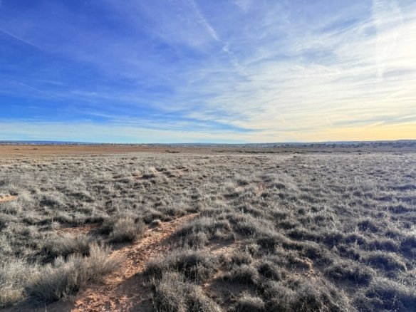 1.16 Acres land for Sale in Apachi County, Arizona