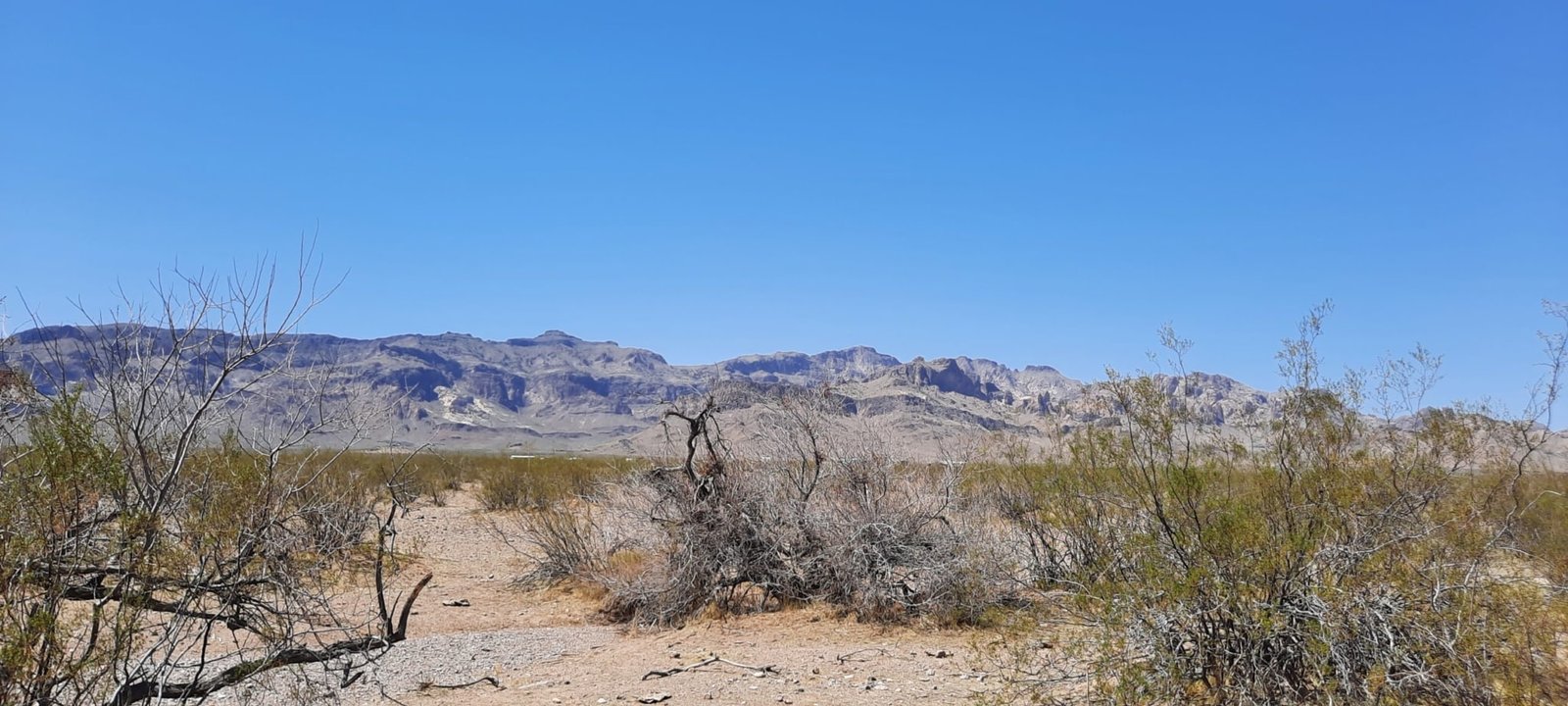 Amazing 2.35-acre Mountainside Oasis For Sale in Golden Valley, AZ!