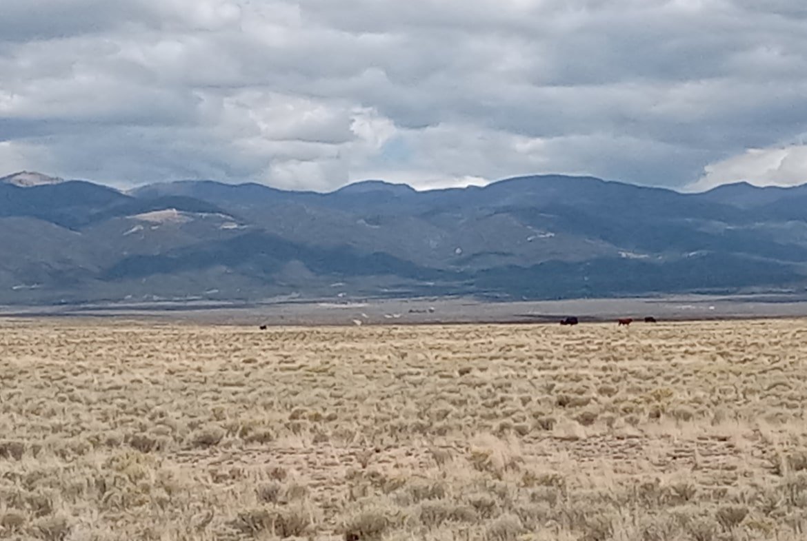 Beautiful 4-acres Land for Sale with a view of the mountains