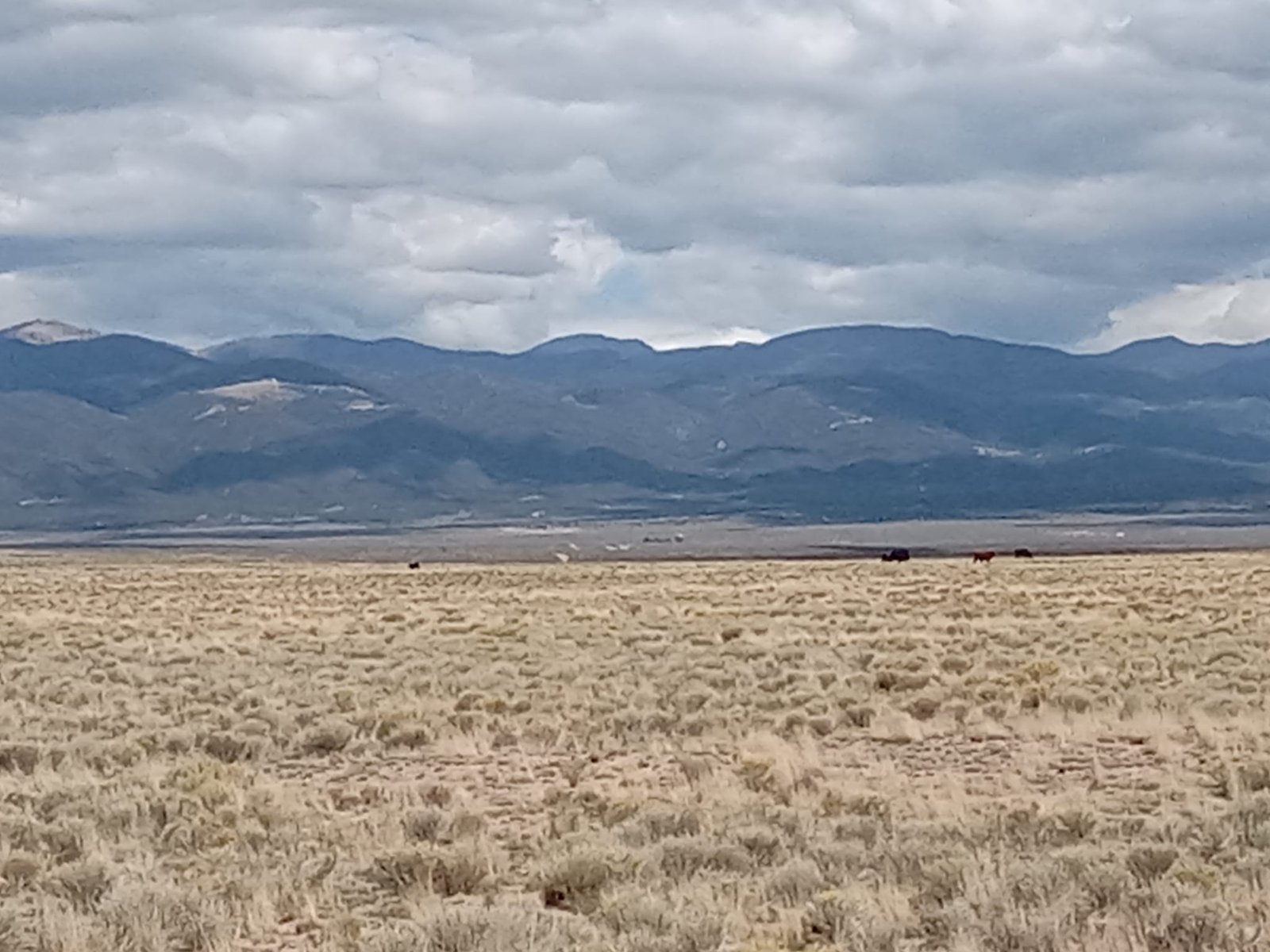 Beautiful 4-acres Land for Sale with a view of the mountains