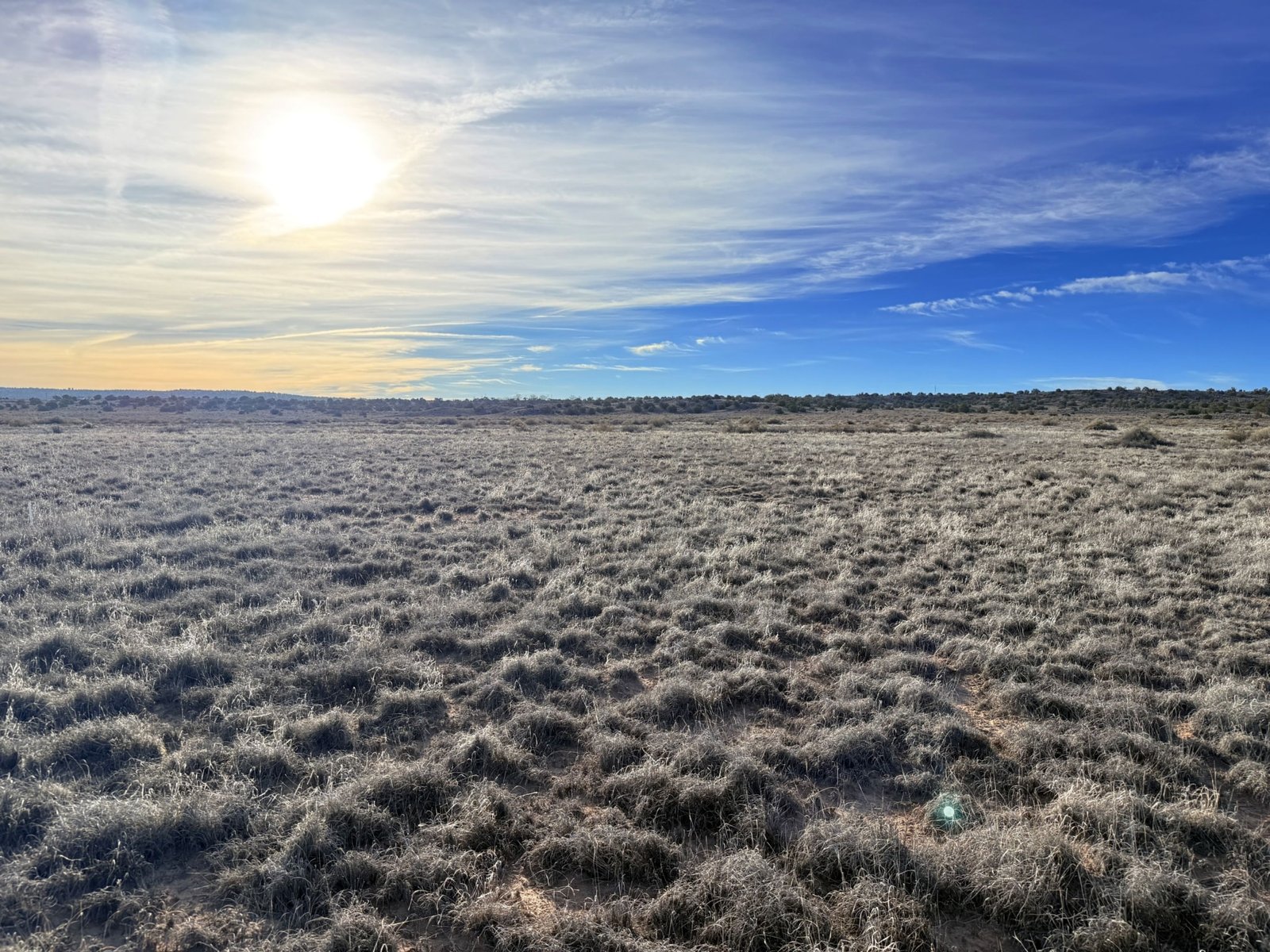 Build A Cozy Home for Your Parents | $149 Down in Sanders, AZ