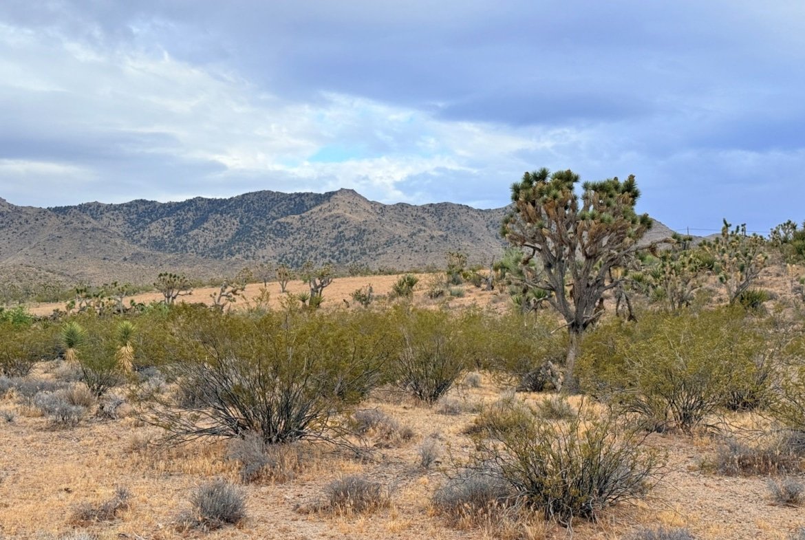 1.06 acre land for sale in Dolan Springs, Arizona : Build A Home Near Beautiful Hiking Trails | $195/mo in AZ